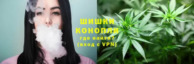 Бошки марихуана OG Kush  Берёзовский 